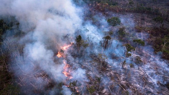 專家：亞馬遜火災對環境帶來更嚴重破壞