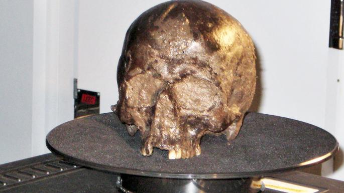 英赫斯靈頓大腦  被證實如何保存2600年