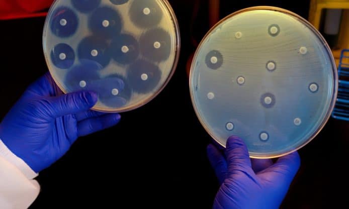 AI 發現新種抗生素有效殺滅超級細菌