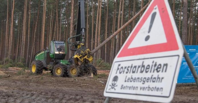 德國叫停 Tesla 興建工廠計劃　工程砍伐樹木影響動物棲息地