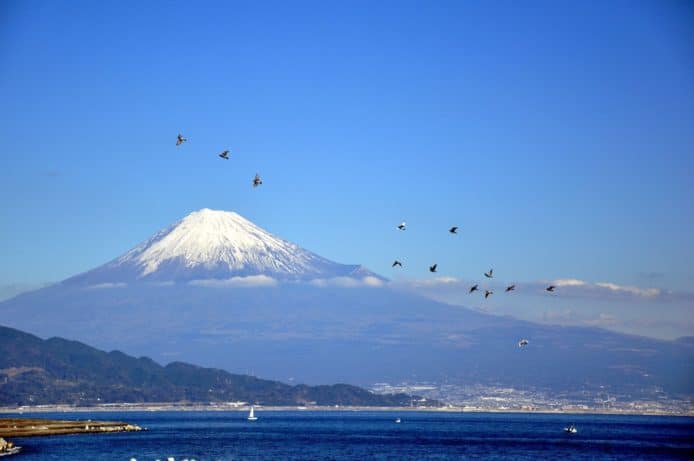 富士山受疫情影響   2020 封閉路徑嚴禁登山
