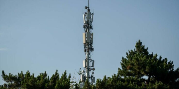5G 發射塔被憤怒鳥攻擊   澳洲雀鳥用喙扯斷電線