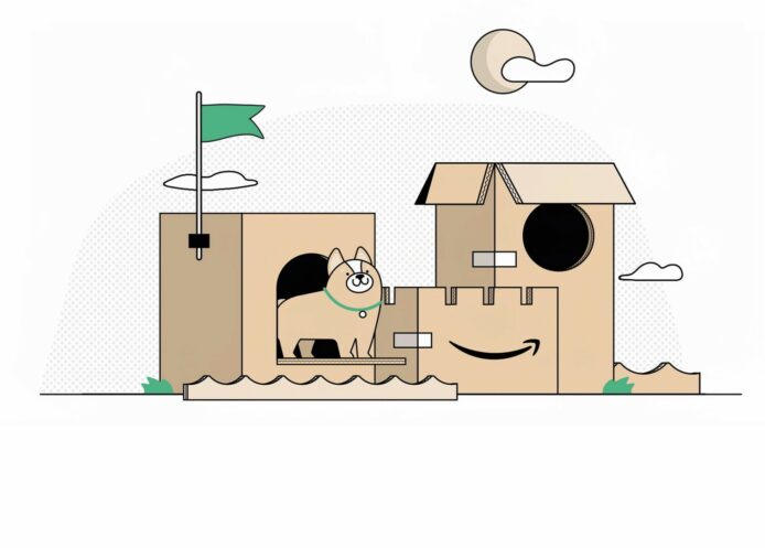 Amazon 外箱變貓兒玩具   官方教你DIY