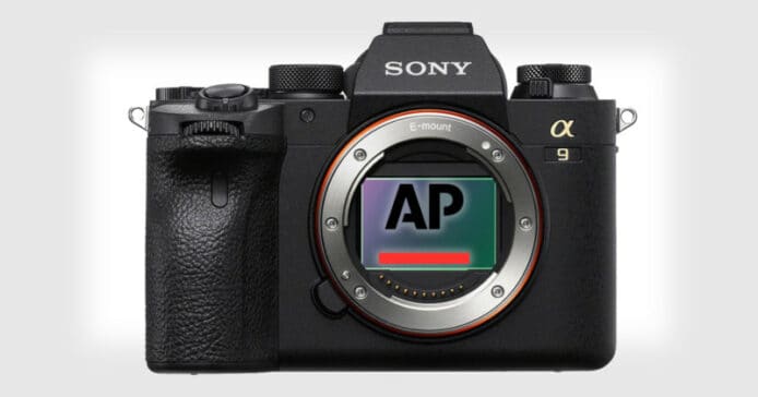 SONY 成美聯社相機獨家供應商　攝記將配備 SONY A9II、A7RIV