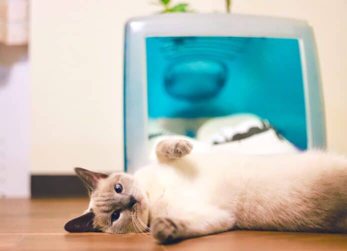 日本貓奴以 iMac G3   為貓主子 DIY 安樂窩