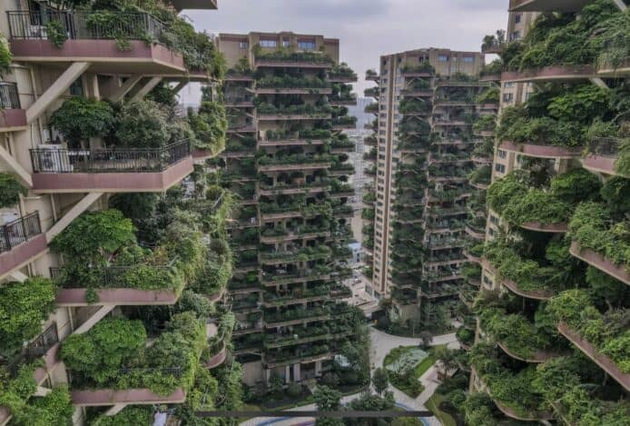 中國「垂直森林」實驗住宅無人住  蚊蟲植物超多大廈變真「森林」