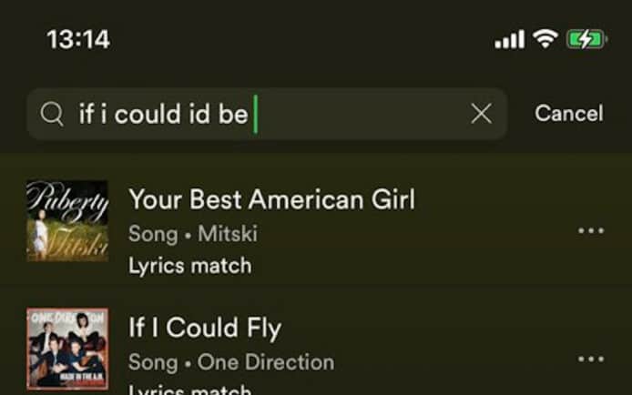Spotify 以歌詞搜尋歌曲   無需再輸入完整歌名
