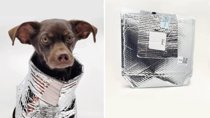 設計師重用外賣保溫袋   寒冬為愛犬製作科幻保暖衣