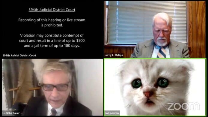 用 Zoom 上庭誤開貓濾鏡   美國律師辯解「我不是貓」