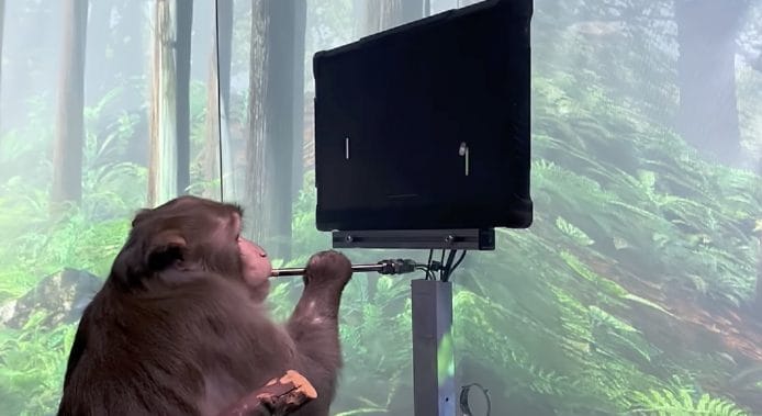 Neuralink 展示猴子打機畫面　腦機介面偵測腦部活動控制遊戲