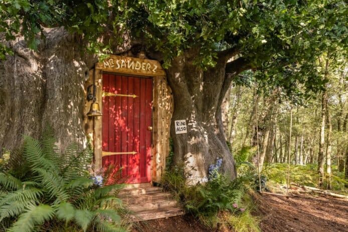 迪士尼 Airbnb 英國合作   建小熊維尼森林之家慶 95 歲生日