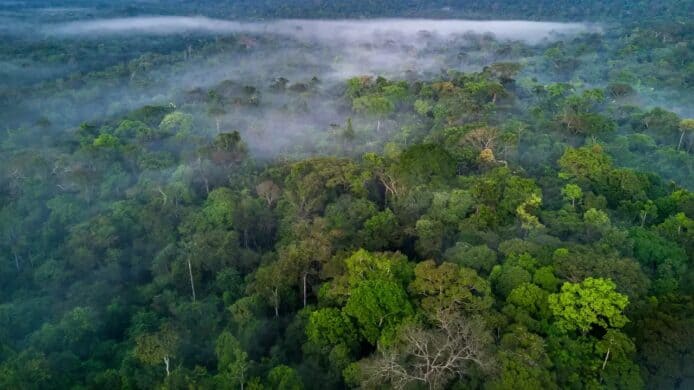 Facebook 修改 Marketplace 政策   禁止銷售受保護亞馬遜雨林土地