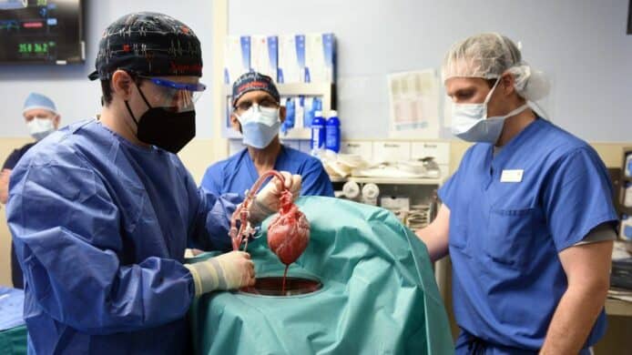 全球首宗人類移植基因改造豬心手術    盼能改善器官短缺問題