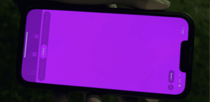 iPhone 13系列螢幕變紫紅色 官方稱屬軟件問題