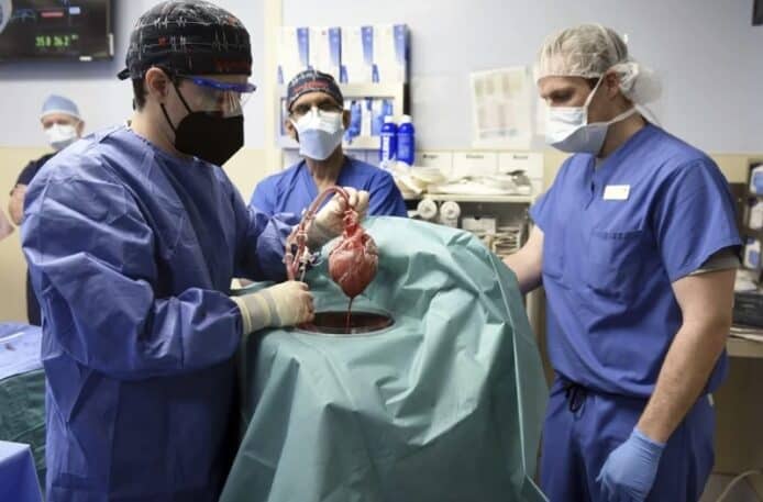 全球首宗「豬心」移植患者病逝   手術後 2 個月病情惡化死因未明