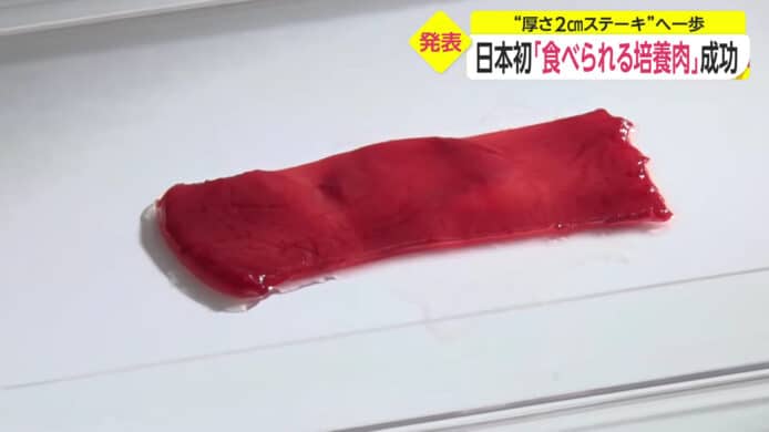東京大學夥拍日清食品   研發日本首款可食用「培養肉」