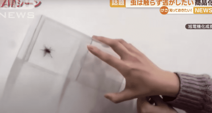 日本網民發明「零接觸」捕蟲神器   被商家睇中正式商品化