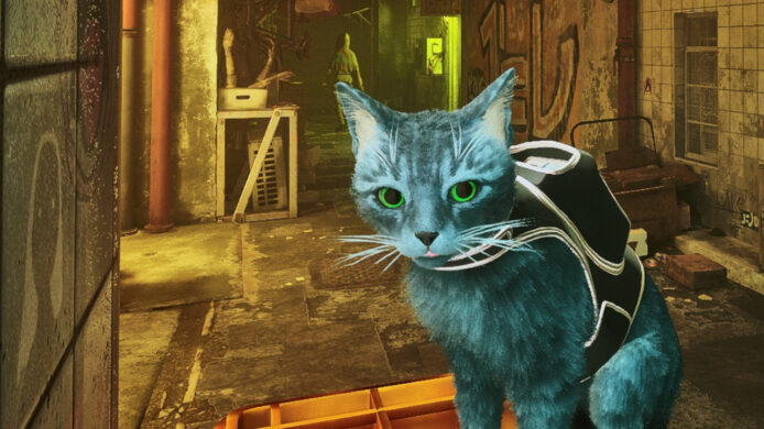 流浪貓遊戲《Stray》大熱   玩家推 Mod 可換貓咪毛色品種