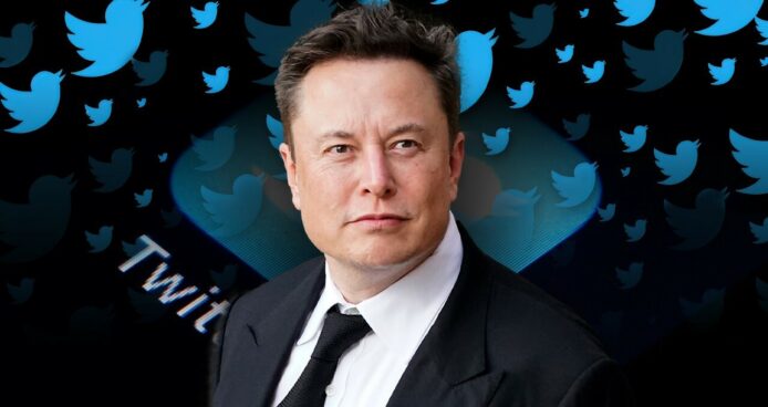 Elon Musk：「一隻小鳥被釋放了」   形容收購 Twitter 後心情