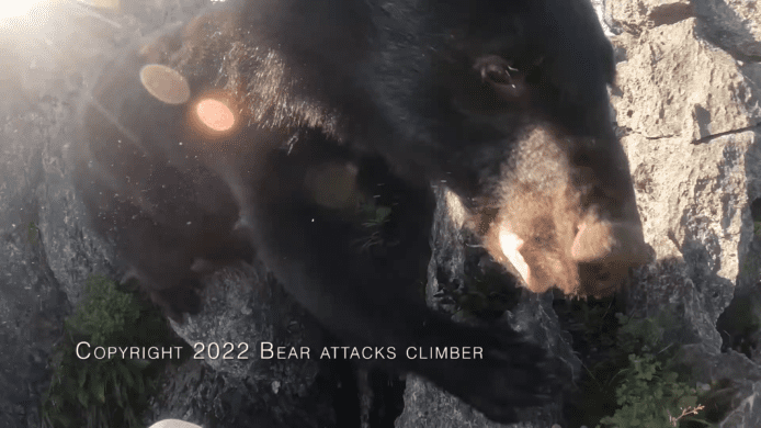 【有片睇】日本男獨自登山遇熊   GoPro 留下刺激遇襲片段