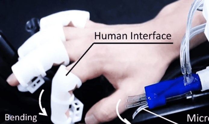 日本大學研發「保護昆蟲手指」    避免互動時令它們受傷