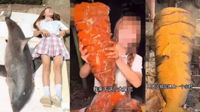 中國百萬粉絲女網紅   為影片流量烹煮國家級保護鯊魚被判罰