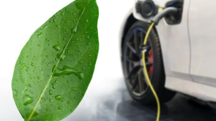 科學家研發「人工樹葉」　光合作用製作汽車燃料