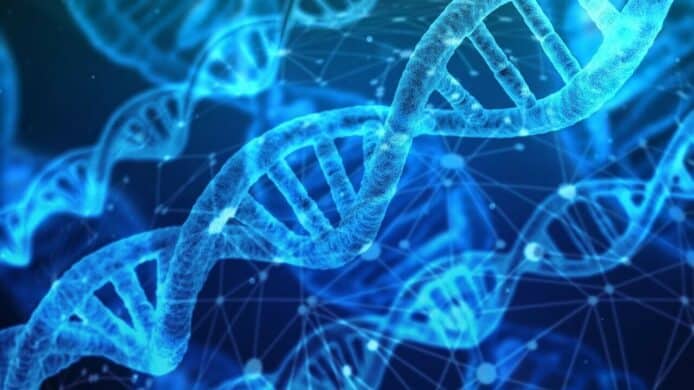 科學家希望可對人類遺傳病作分析　用靈長類 DNA 訓練 AI 模型