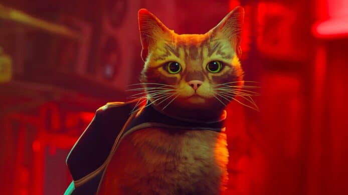 貓咪愛好者留意   《Stray》下月登陸 Xbox 平台