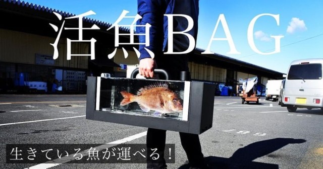 寵物魚也能帶出街  日本發明「活魚手袋」