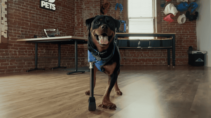 Apple「Shot on iPhone」感人故事【有片睇】主人用 iPhone 14 Pro 為小狗製作義肢