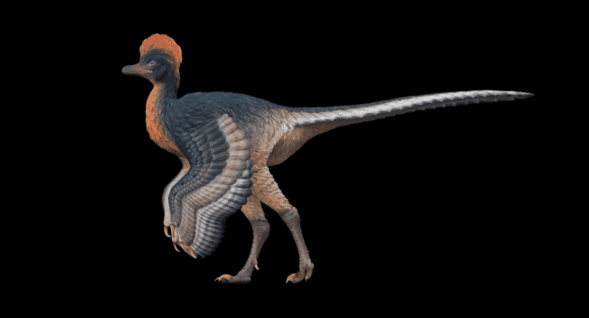 中國發現「奇異福建龍」 世上生活最南的恐龍化石