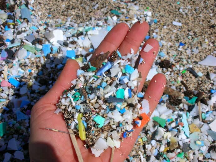 食塑膠生物產生納米塑膠災難更大   專家：中國鄱陽湖每天產生 13.3 兆塑膠顆粒