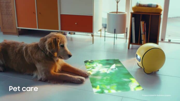 a yellow round robot and a dog