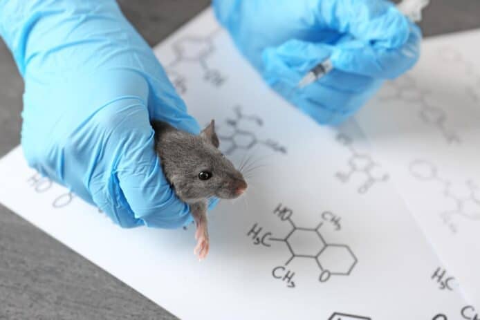 中國使用白老鼠測試新種冠狀病毒