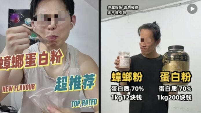 內地曱甴粉推薦 曱甴粉蛋白質70%健康補充品.