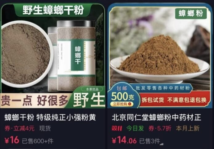 野生蟑螂粉粉末特寫.