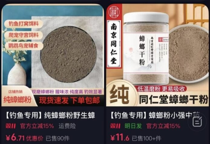 內地曱甴粉 曱甴粉展示,適合釣魚和養蜂用途.