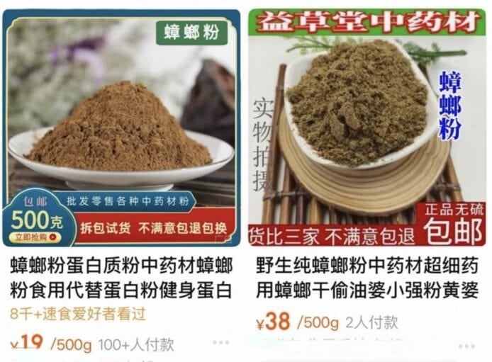 內地曱甴粉產品展示 中藥曱甴粉,健康補充品.