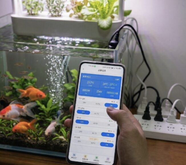 現代魚缸與手機應用連接顯示溫度與水質.