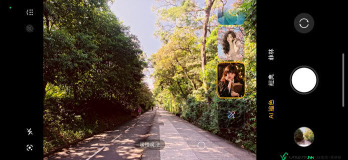 樹木道上陽光穿透樹葉與路面.