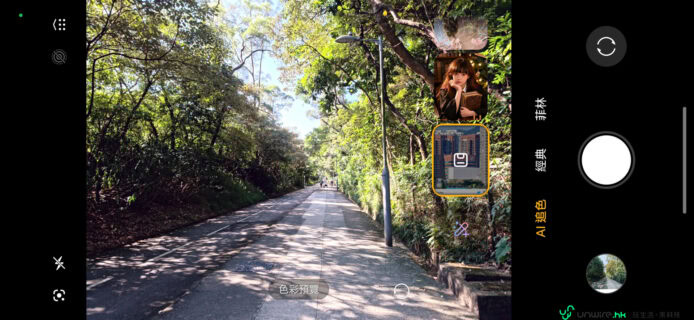 路徑與樹蔭的清晨 清晨樹蔭下的林荫大道,陽光穿透綠葉照亮路面.